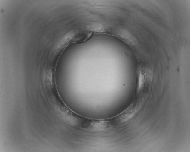 X0000071830072200607141711