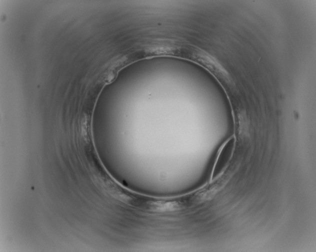 X0000071830073200607141711