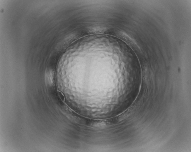 X0000071830075200607141711