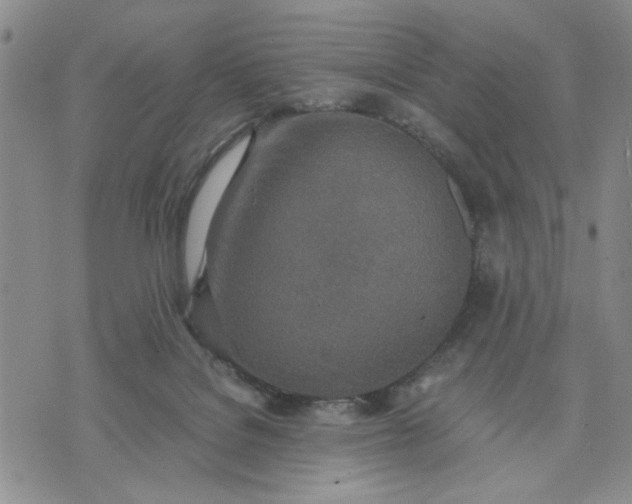 X0000071830076200607141711