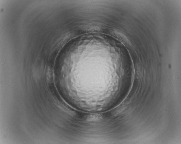 X0000071830077200607141711