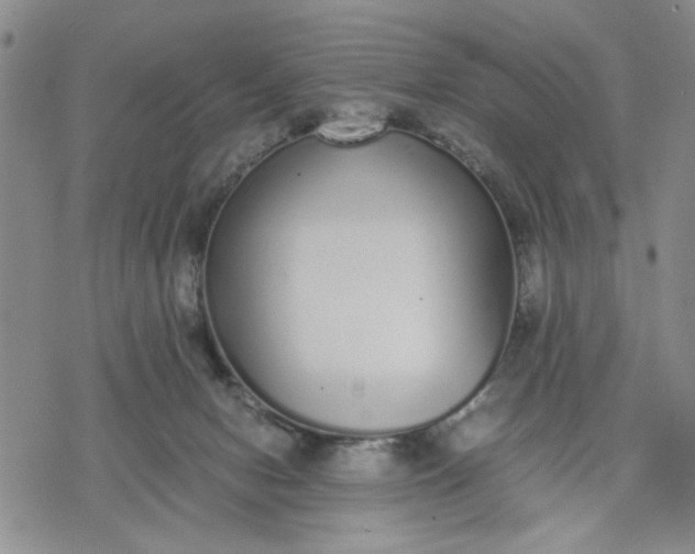 X0000071830078200607141711