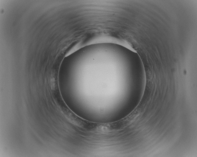 X0000071830080200607141711