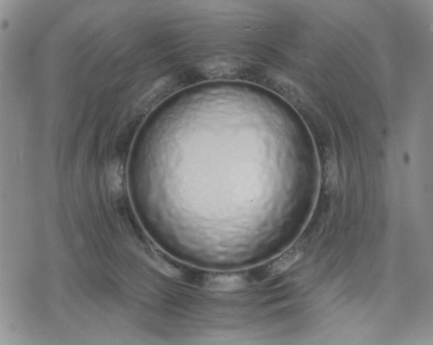 X0000071830081200607141711