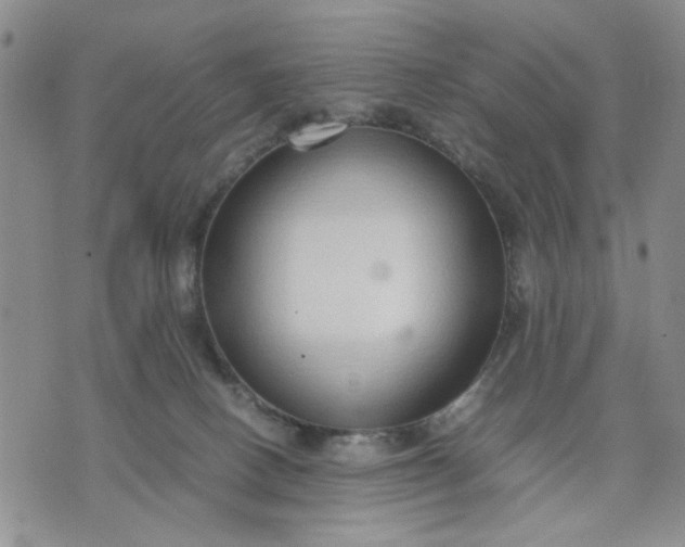 X0000071830082200607141711