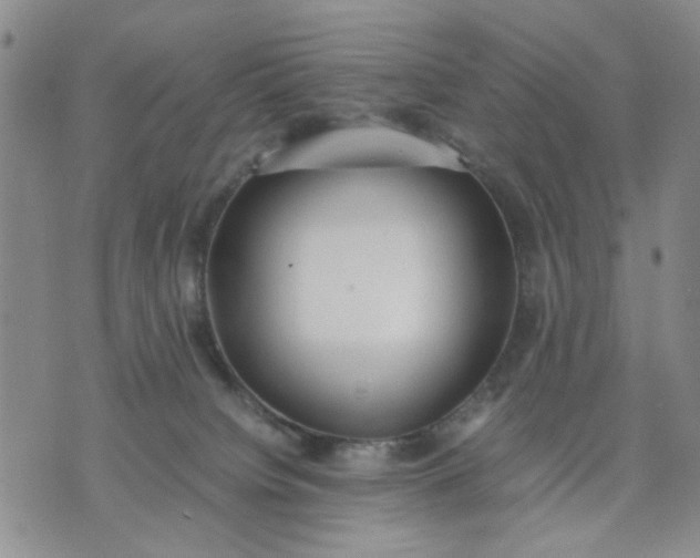 X0000071830084200607141711