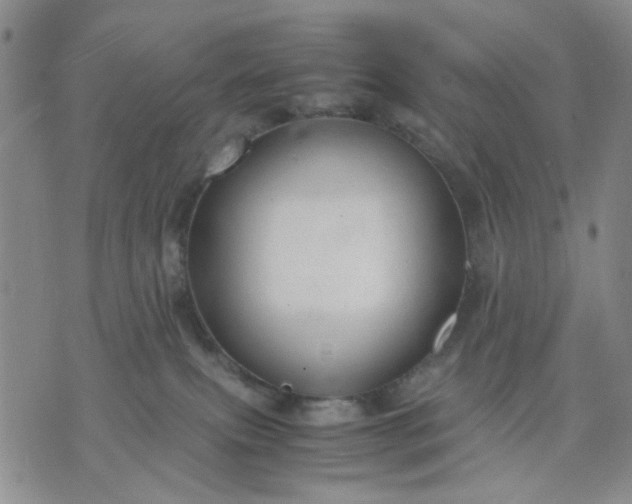 X0000071830087200607141711