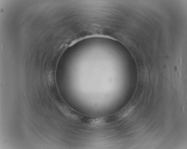 X0000071830088200607141711