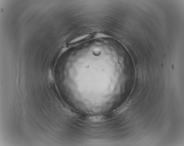 X0000071830089200607141711