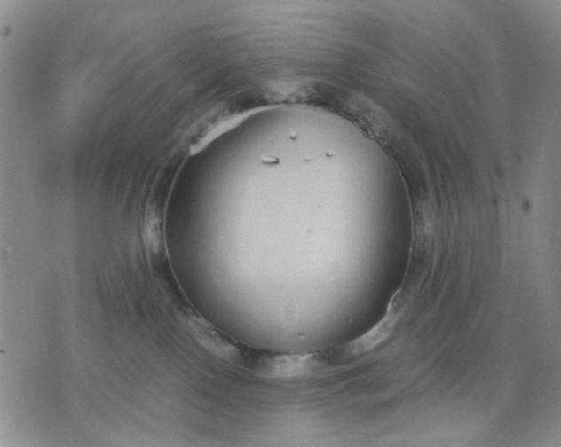 X0000071830090200607141711