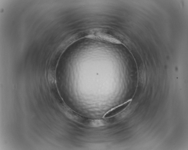 X0000071830091200607141711