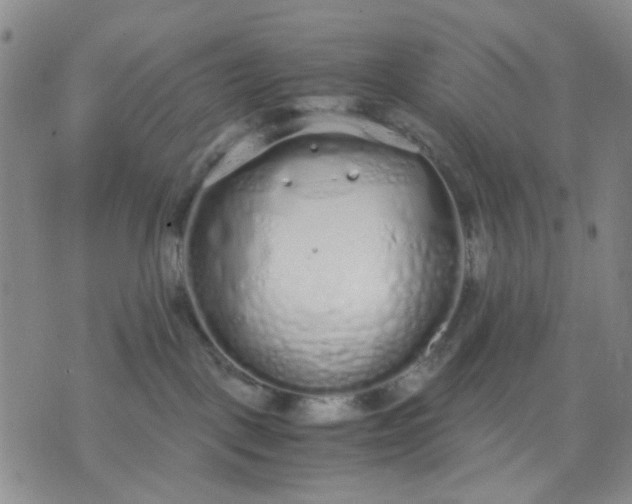 X0000071830093200607141711