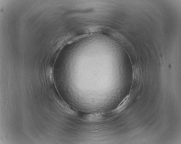 X0000071830094200607141711