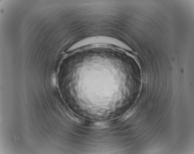 X0000071830095200607141711