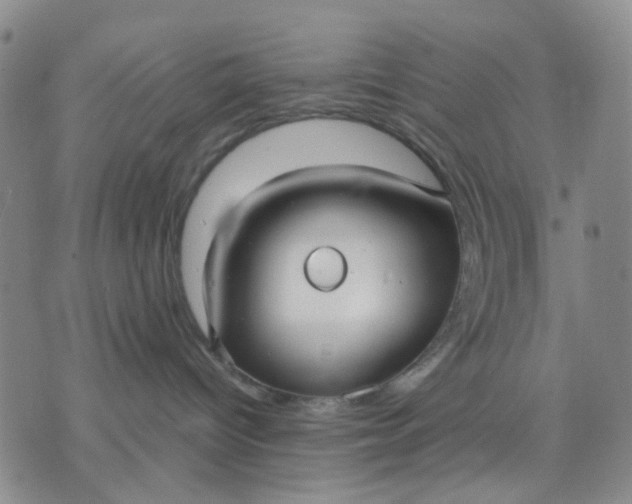 X0000071830096200607141711