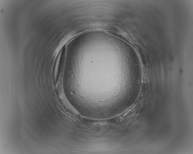 X0000071830099200607141710