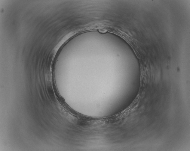 X0000071830100200607141710