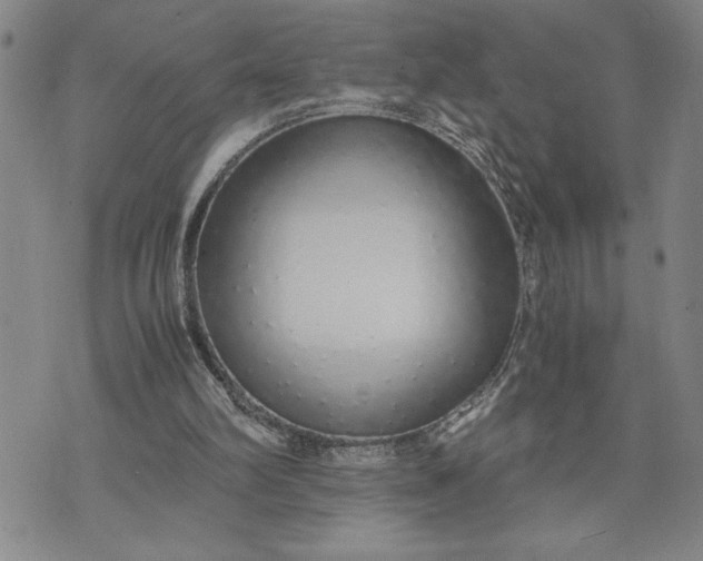 X0000071830102200607141710