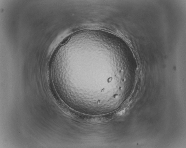 X0000071830103200607141710