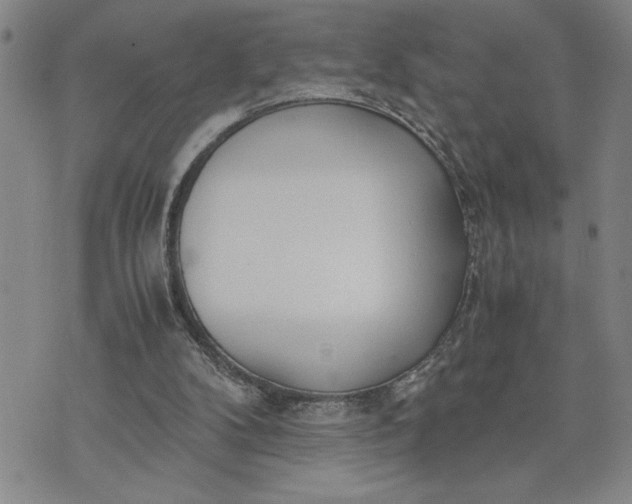 X0000071830104200607141710