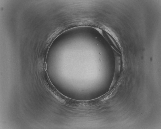 X0000071830105200607141710