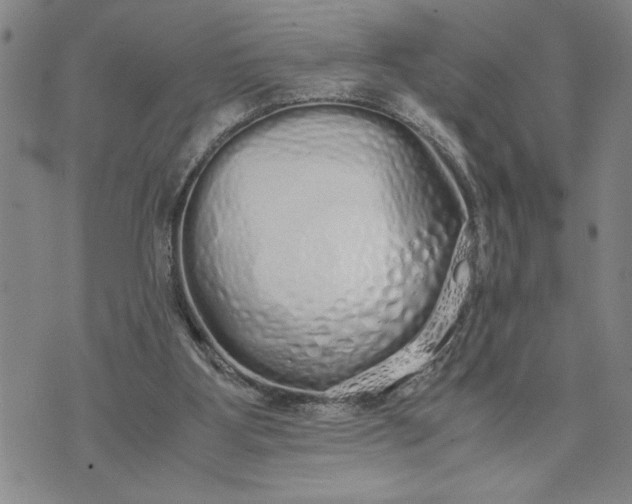 X0000071830107200607141710