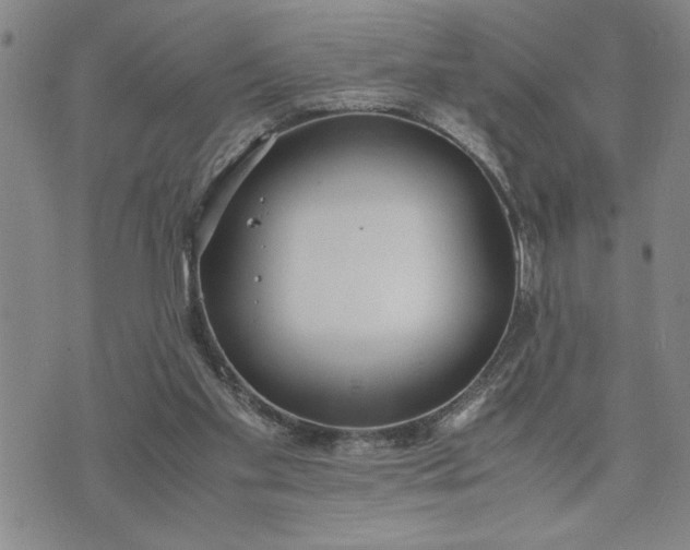 X0000071830109200607141710