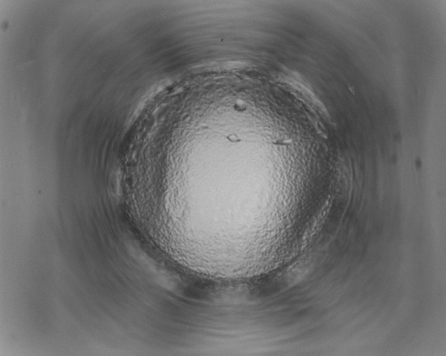 X0000071830110200607141710