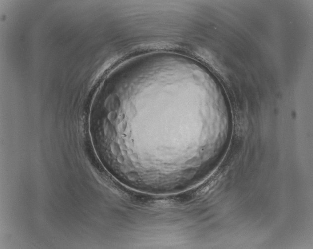 X0000071830111200607141710