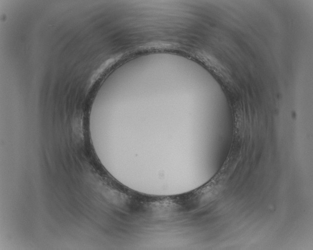 X0000071830112200607141710