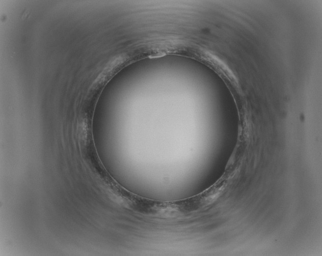 X0000071830113200607141710