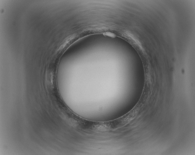 X0000071830115200607141710