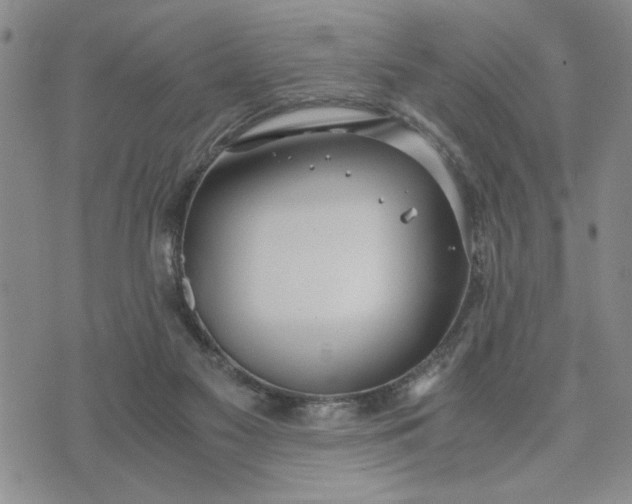 X0000071830117200607141710