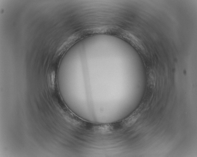 X0000071830118200607141710