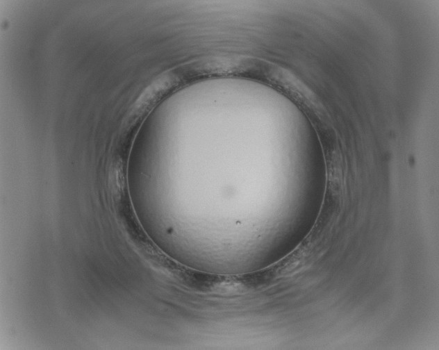 X0000071830119200607141710