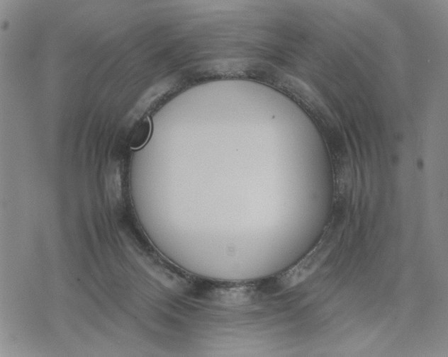 X0000071830120200607141710