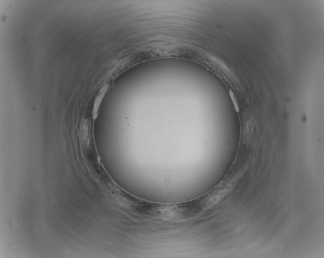 X0000071830121200607141710