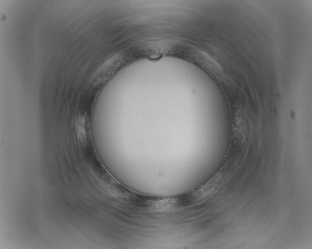 X0000071830122200607141710