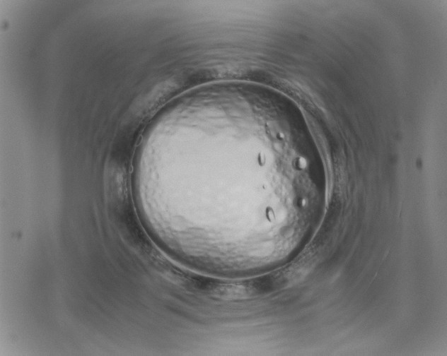 X0000071830123200607141710