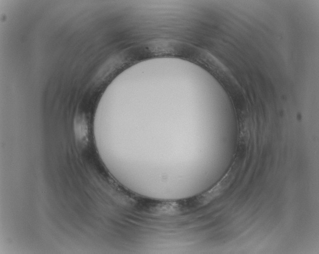 X0000071830124200607141710