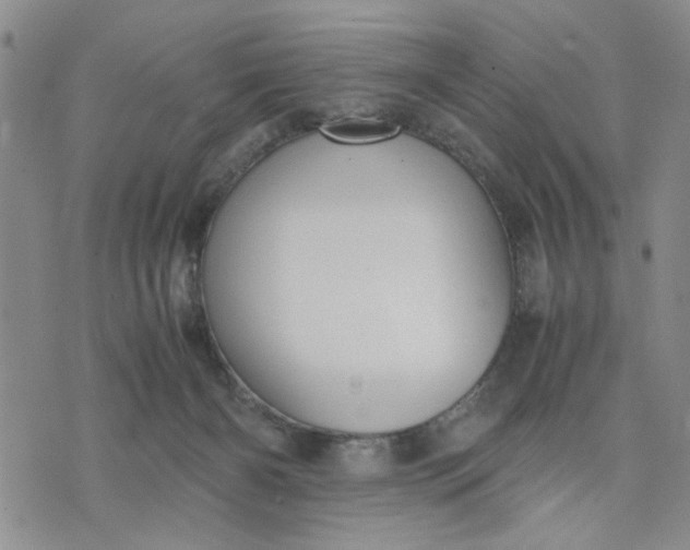 X0000071830126200607141710