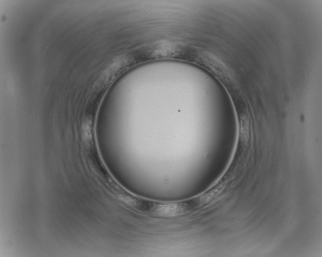 X0000071830127200607141710