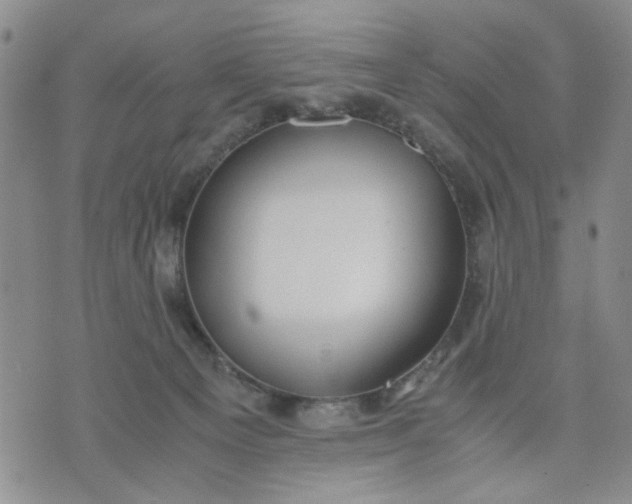 X0000071830129200607141710