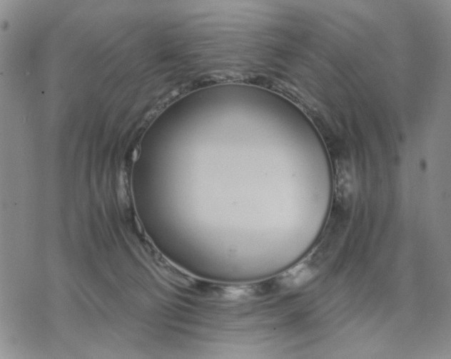 X0000071830130200607141710