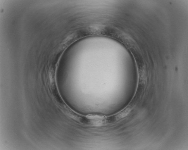 X0000071830131200607141710