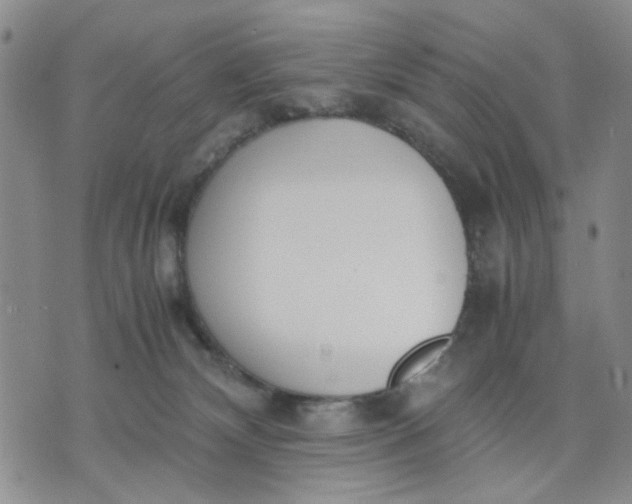 X0000071830132200607141710