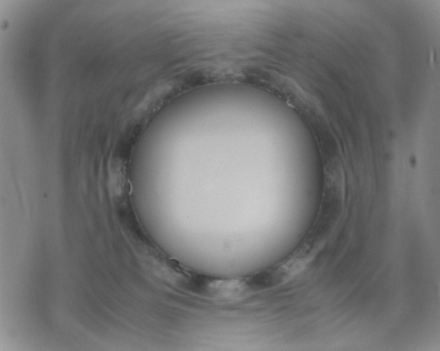 X0000071830133200607141710