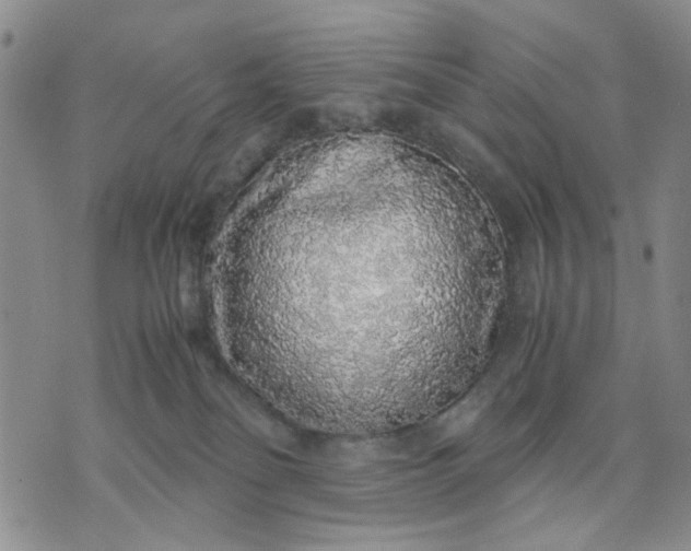 X0000071830134200607141710