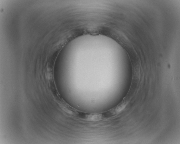 X0000071830135200607141710