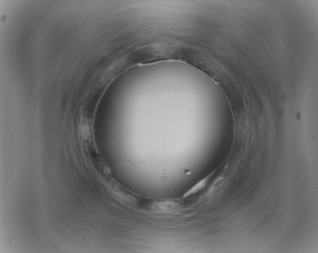 X0000071830137200607141709